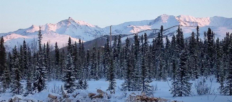 Denali Touch Of Wilderness B&B Healy Exterior photo